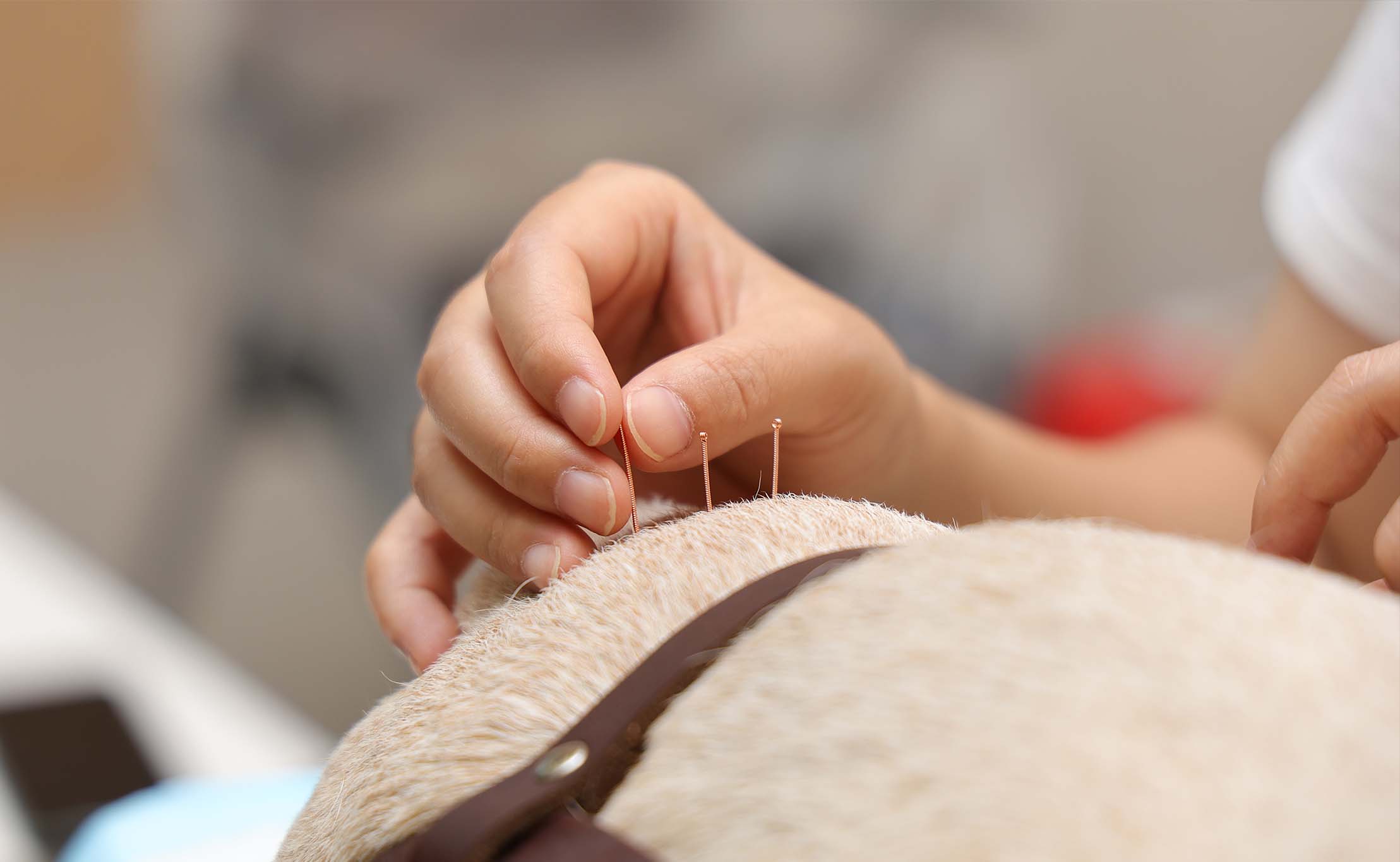 2025�������ҽ���ʦ��֤(C