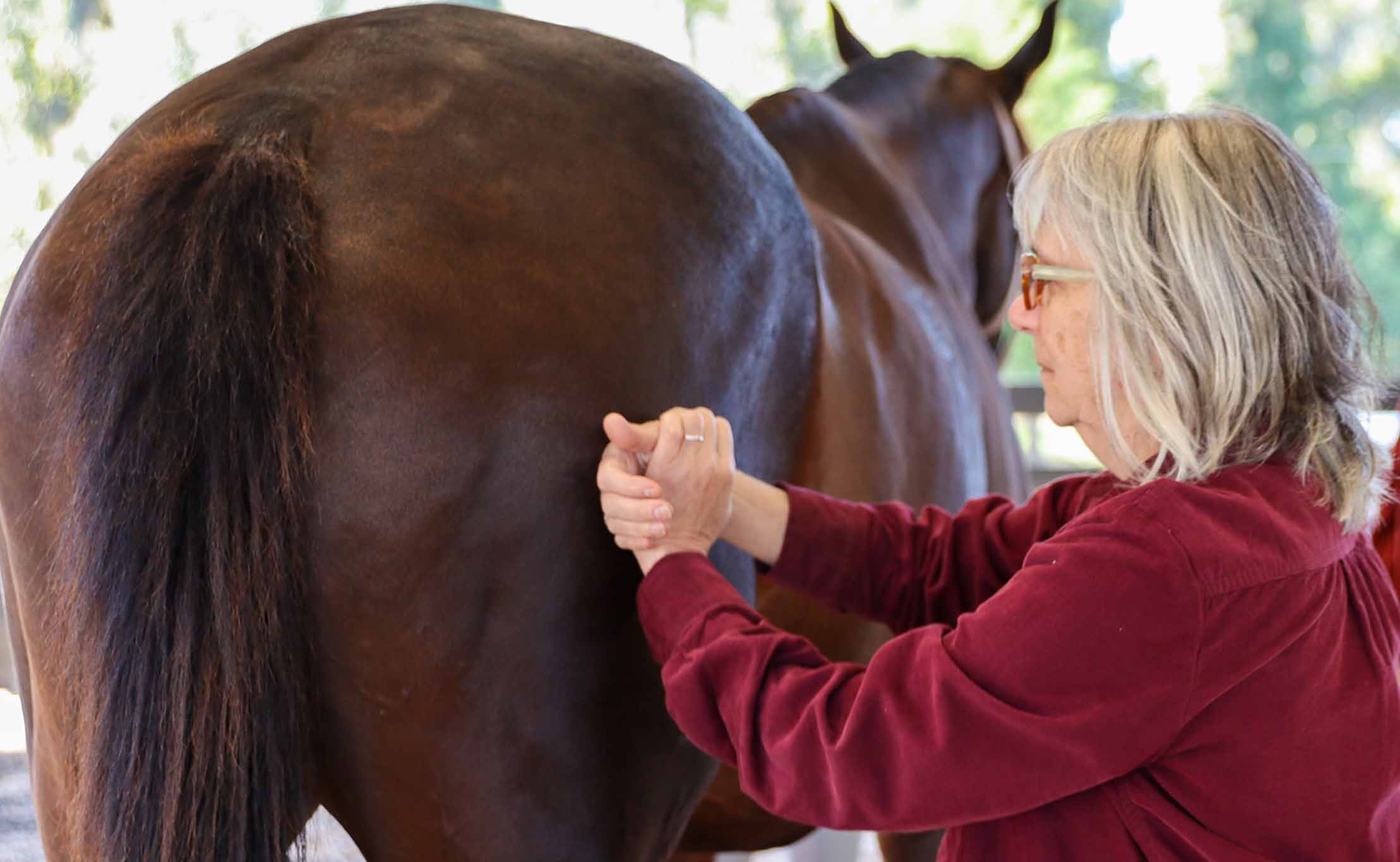 2024����ҽ������֤��CVTP����