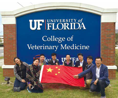 ��ҽ��Ӣ����������Ŀ2017