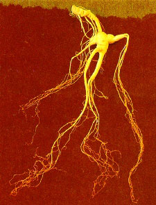 ����ҵ��